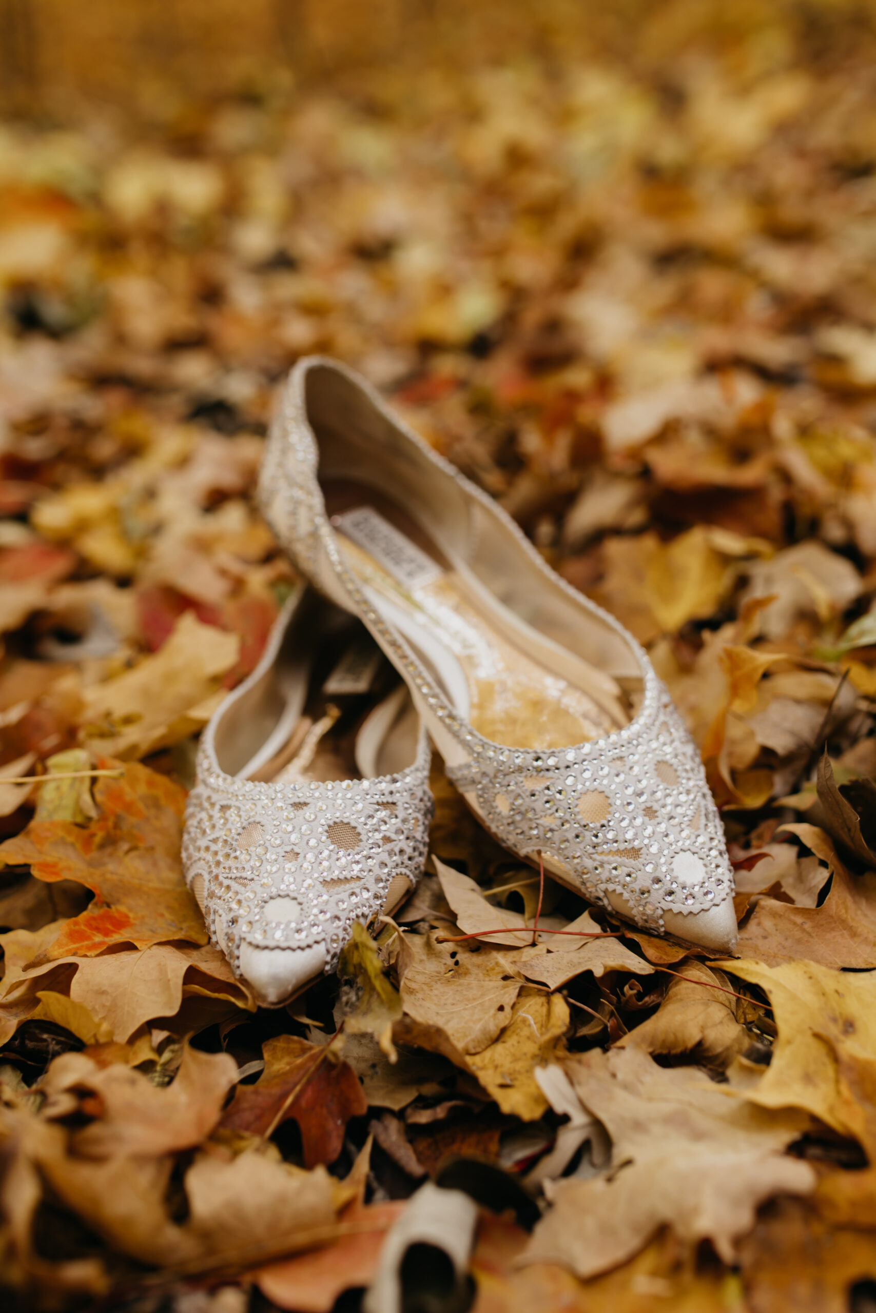 Bridal shoes details