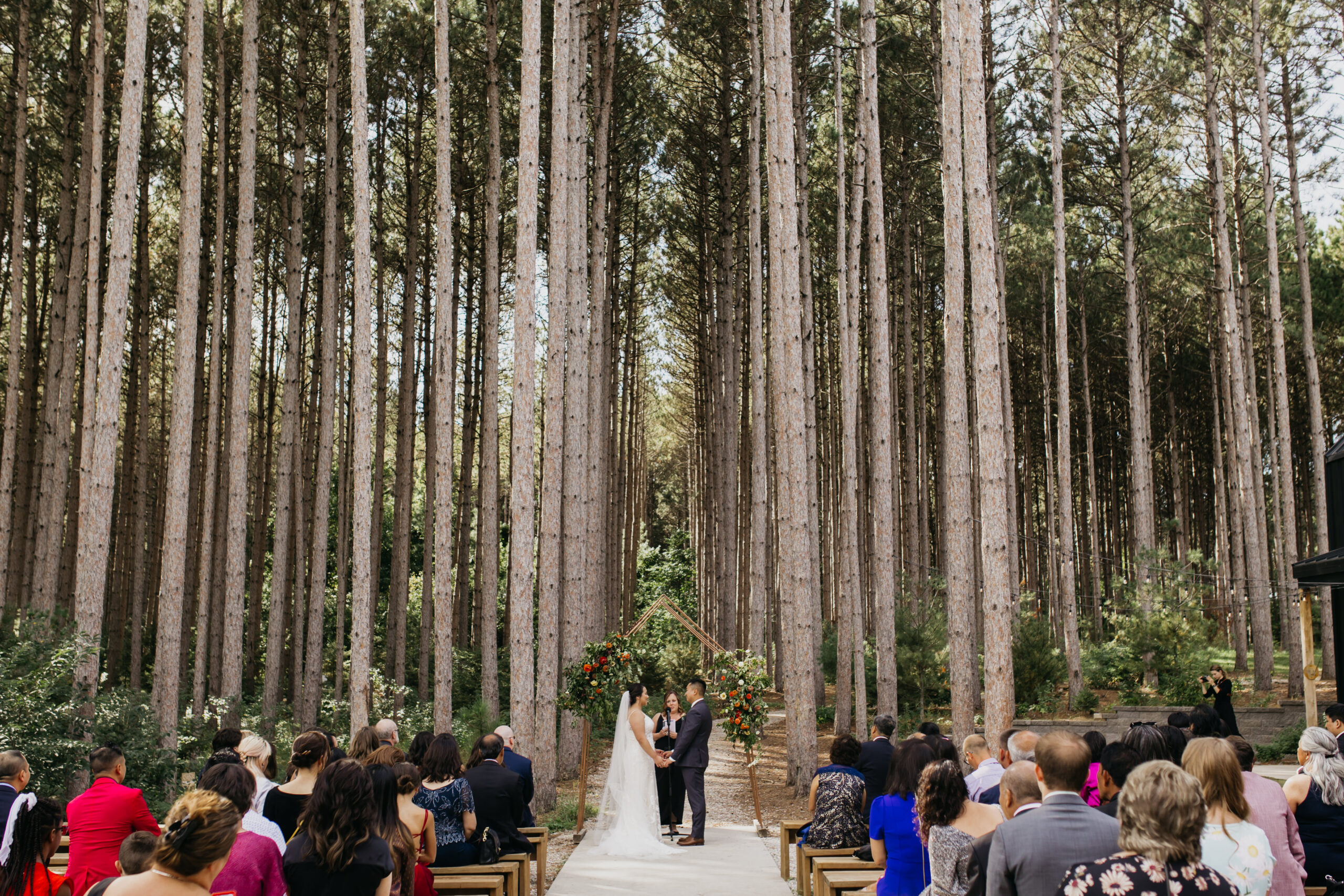 A wide view of the Pinewood wedding ceremony 