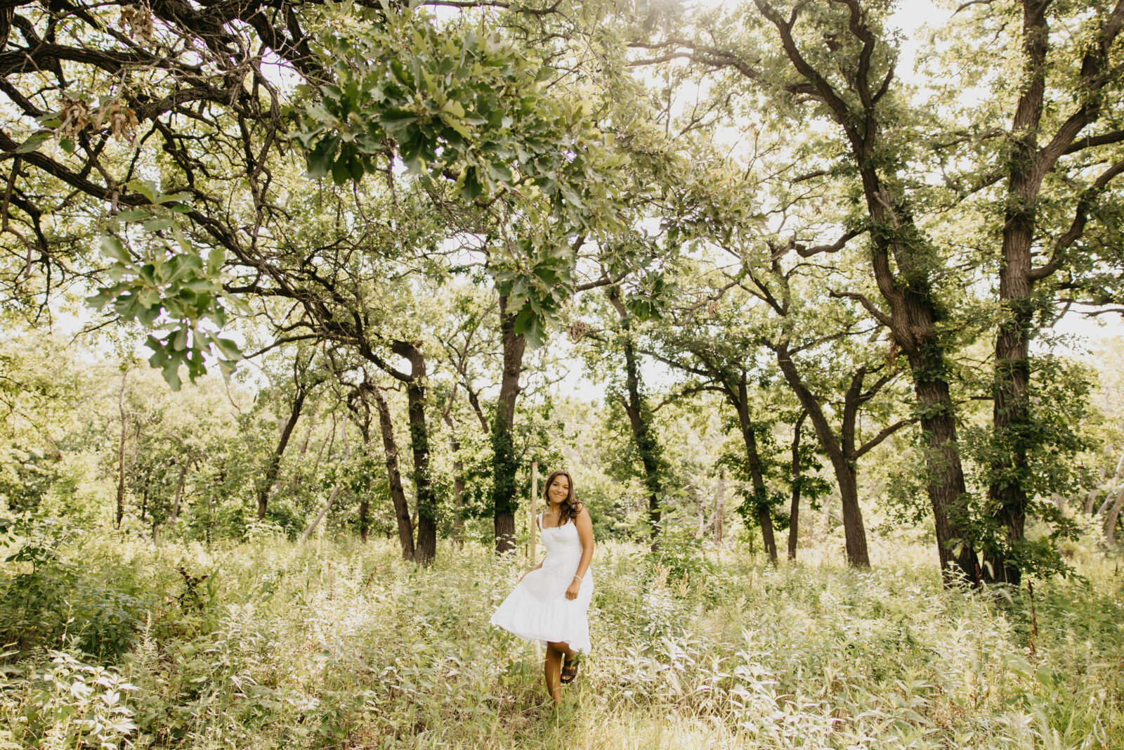 Forest and field vibe for Senior Photos