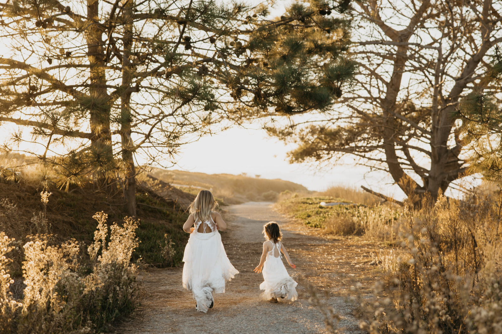 Minneapolis Family Photographer