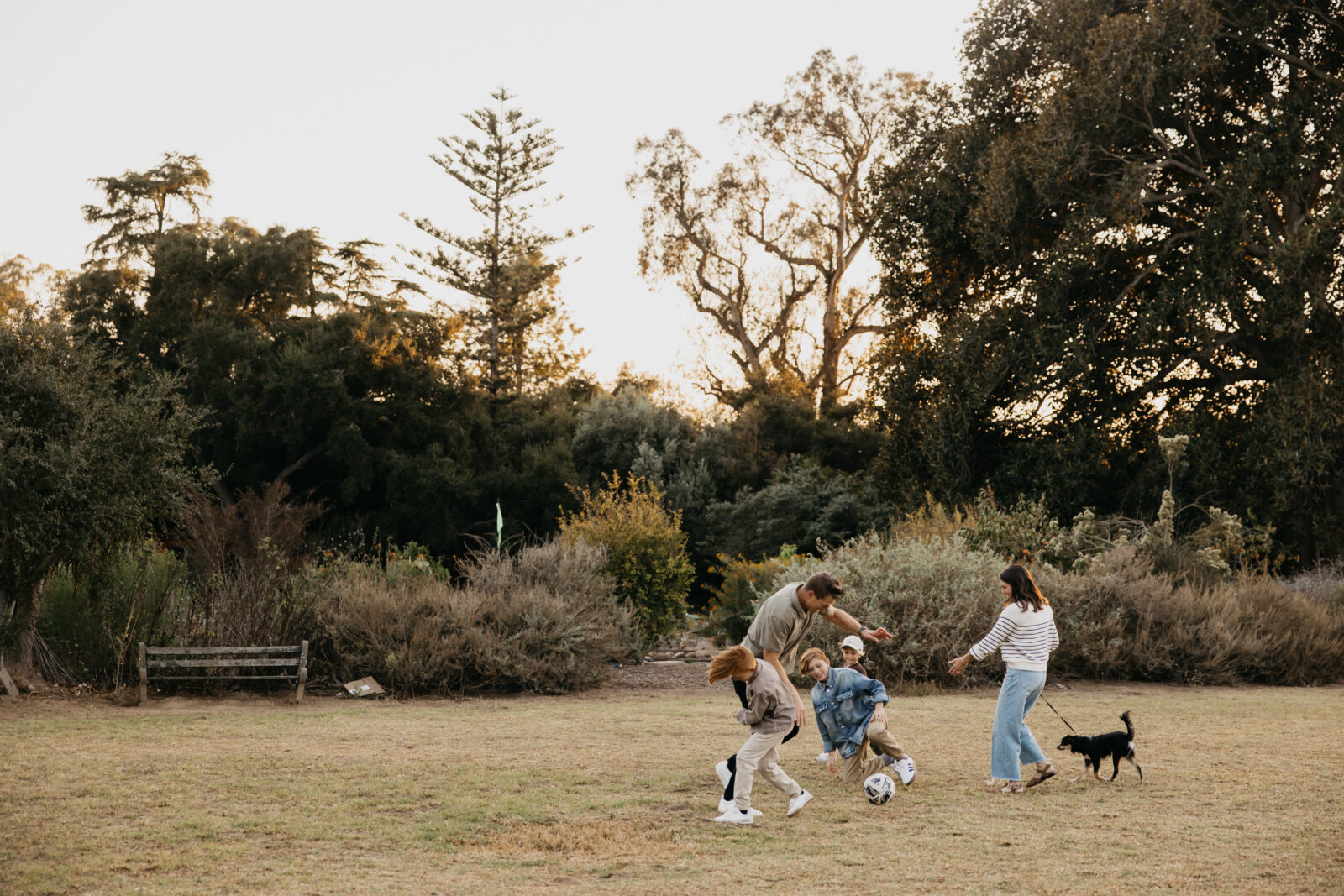 Professional Family Photos