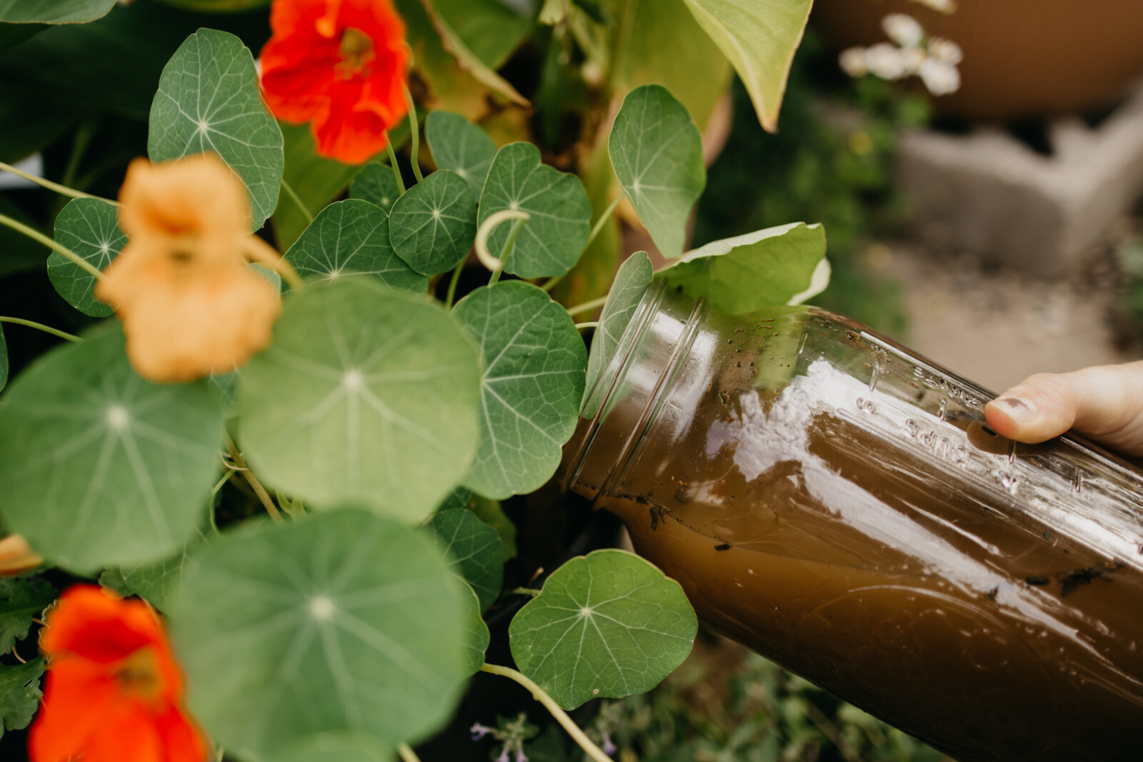 Minneapolis Brand Photographer | Mycah Bain Photography