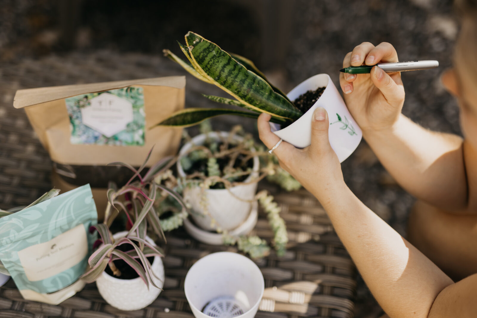 Minneapolis Brand Photographer | Mycah Bain Photography