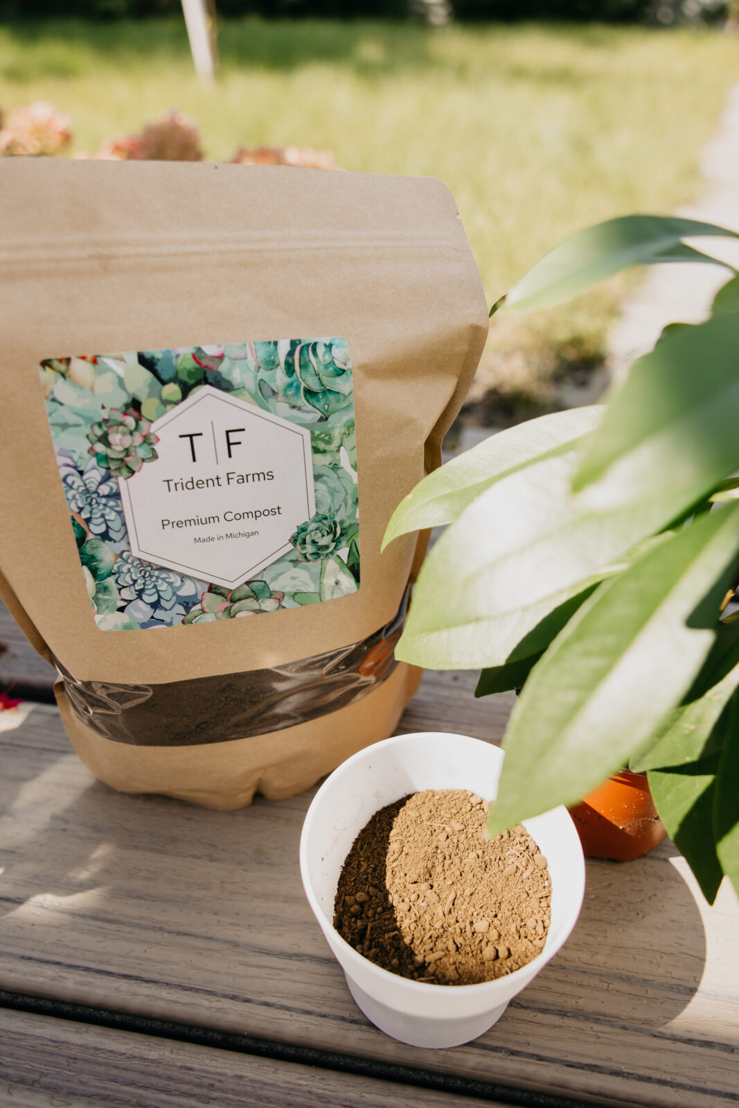 Minneapolis Product Photographer | Mycah Bain Photography
