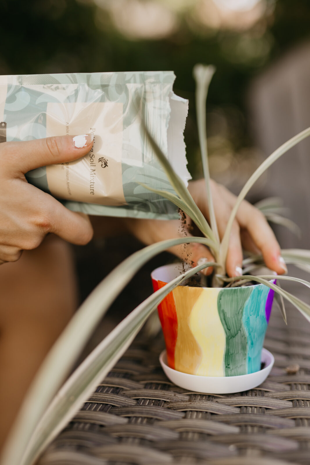 Minneapolis Brand Photographer | Mycah Bain Photography