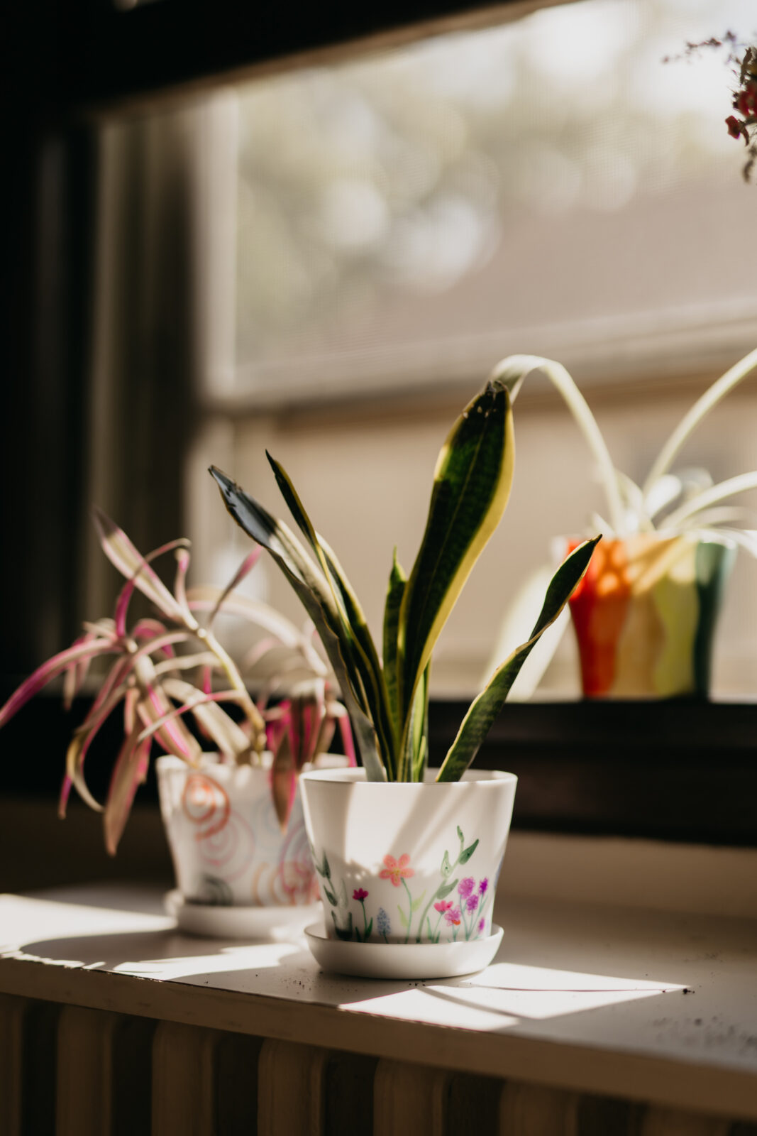 Minneapolis Brand Photographer | Mycah Bain Photography
