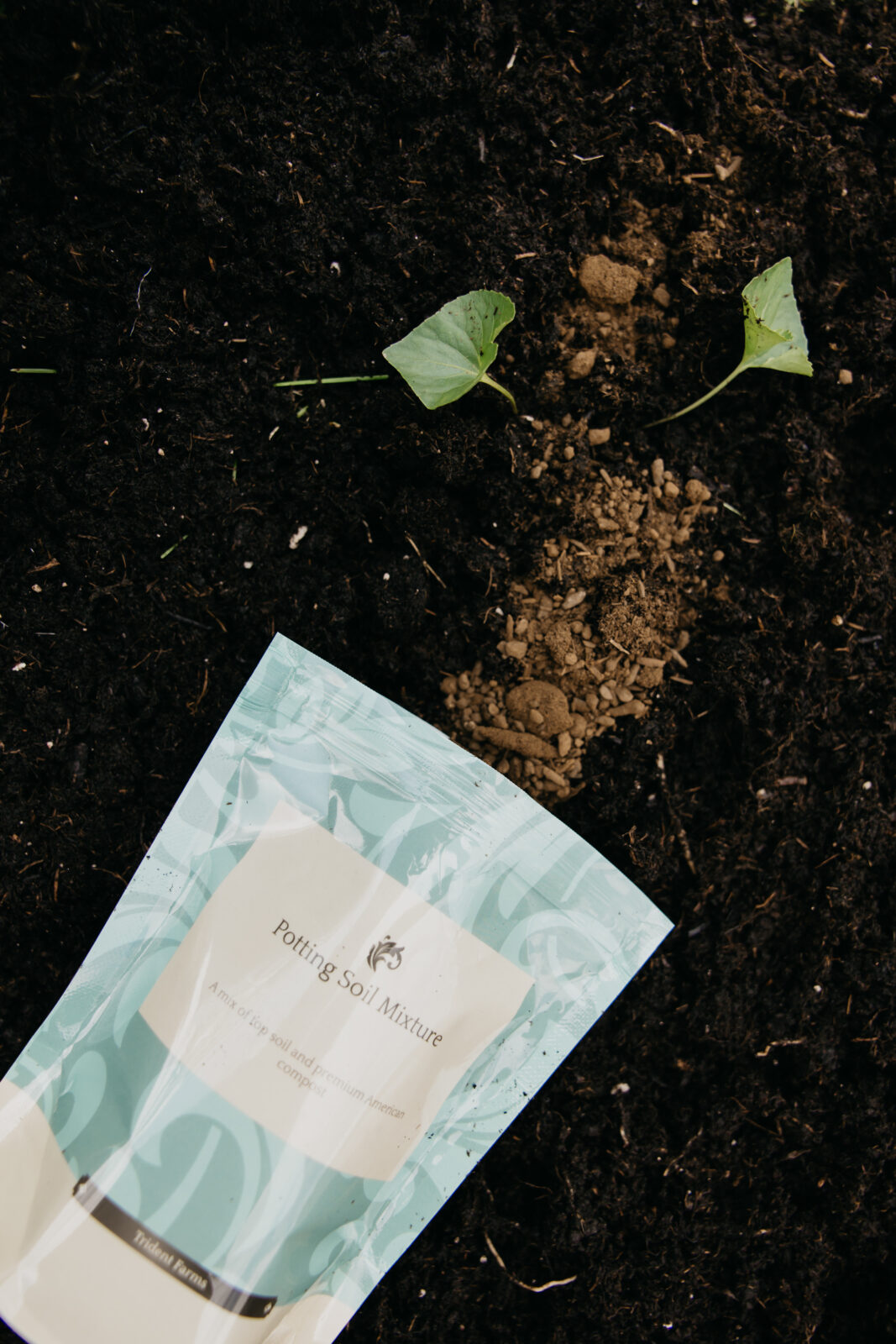 Minneapolis Product Photographer | Mycah Bain Photography