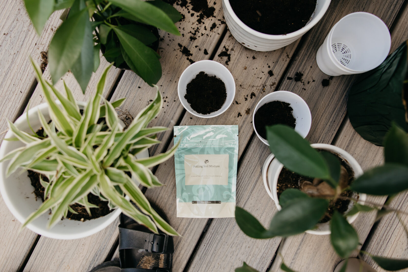 Minneapolis Product Photographer | Mycah Bain Photography