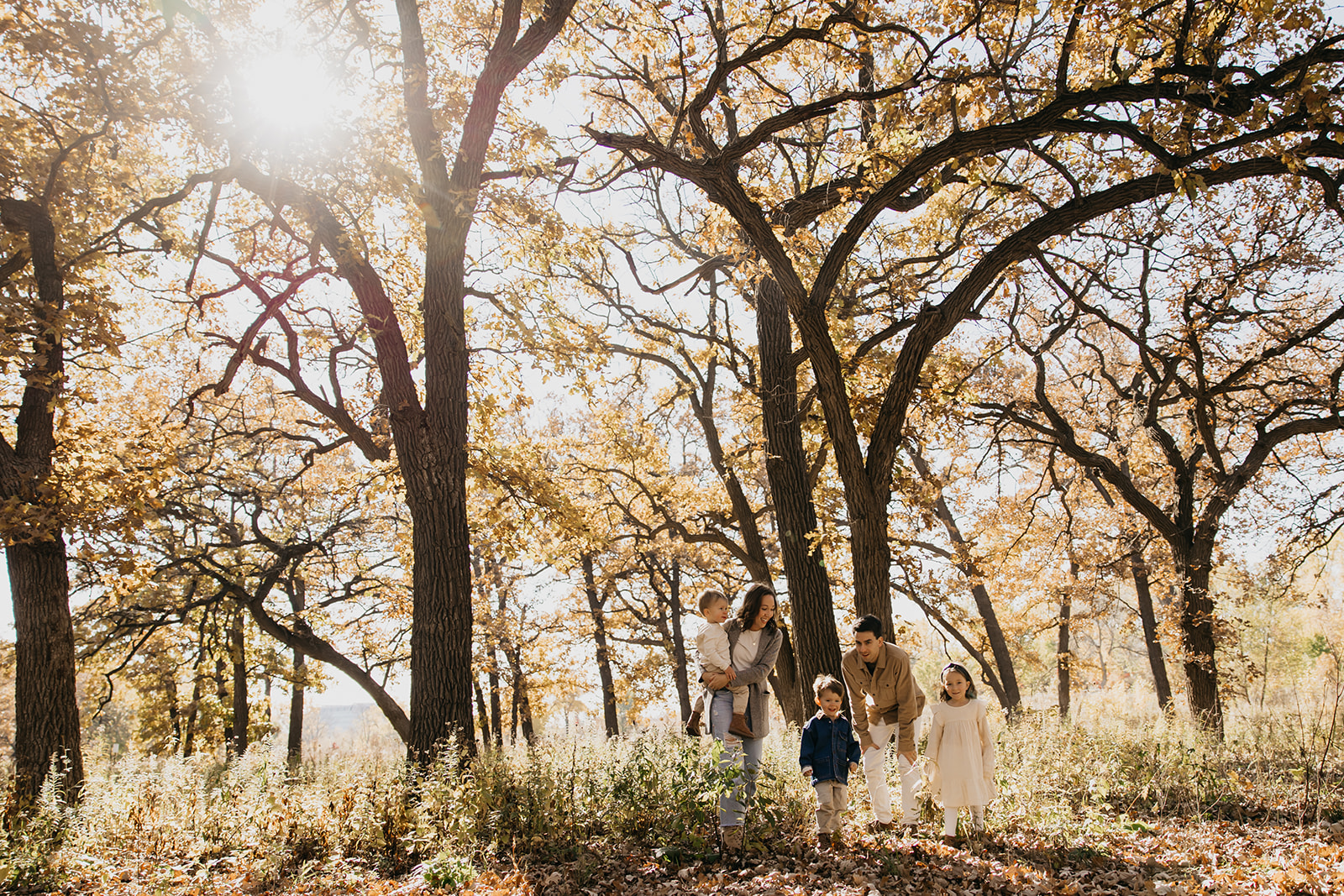 Family walking together under golden fall trees in Minneapolis, captured during a cozy autumn photoshoot.