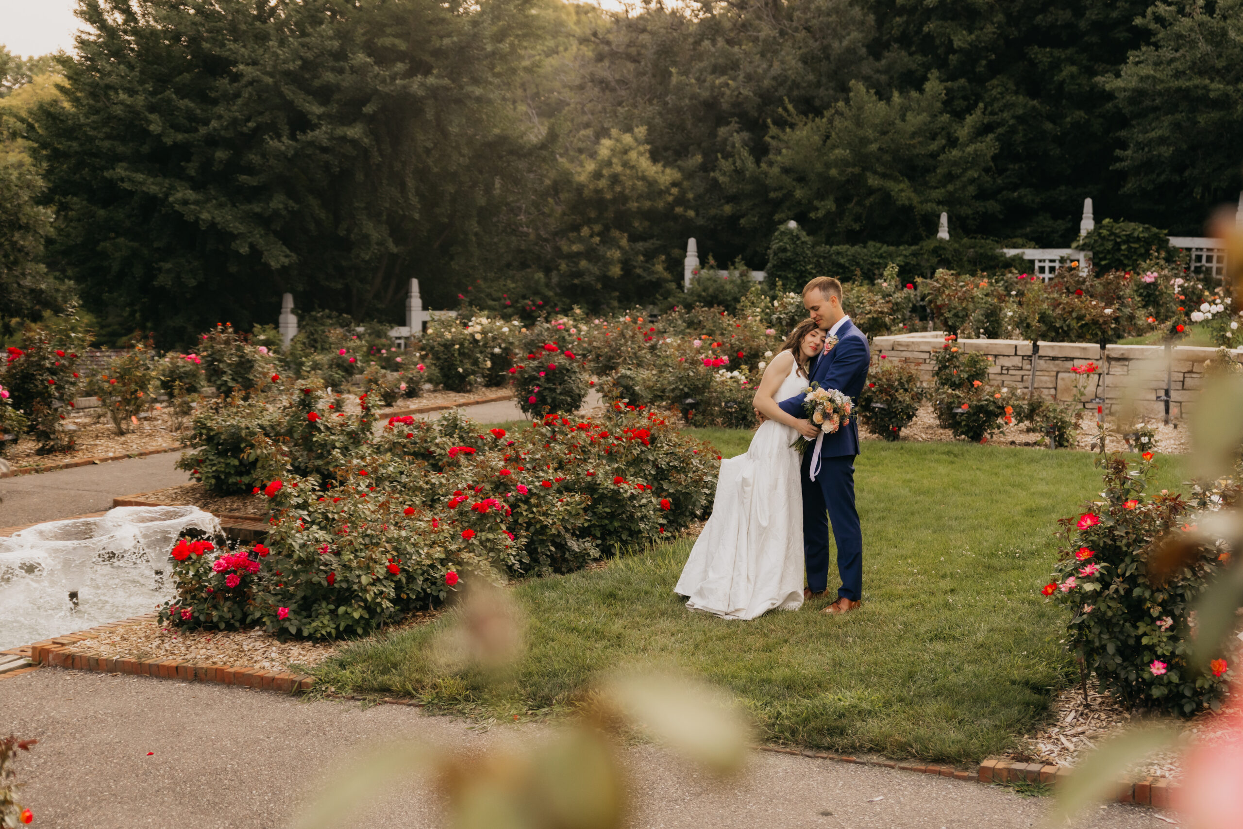 Bride and groom embrace in the rose garden at the MN Landscape Arboretum.