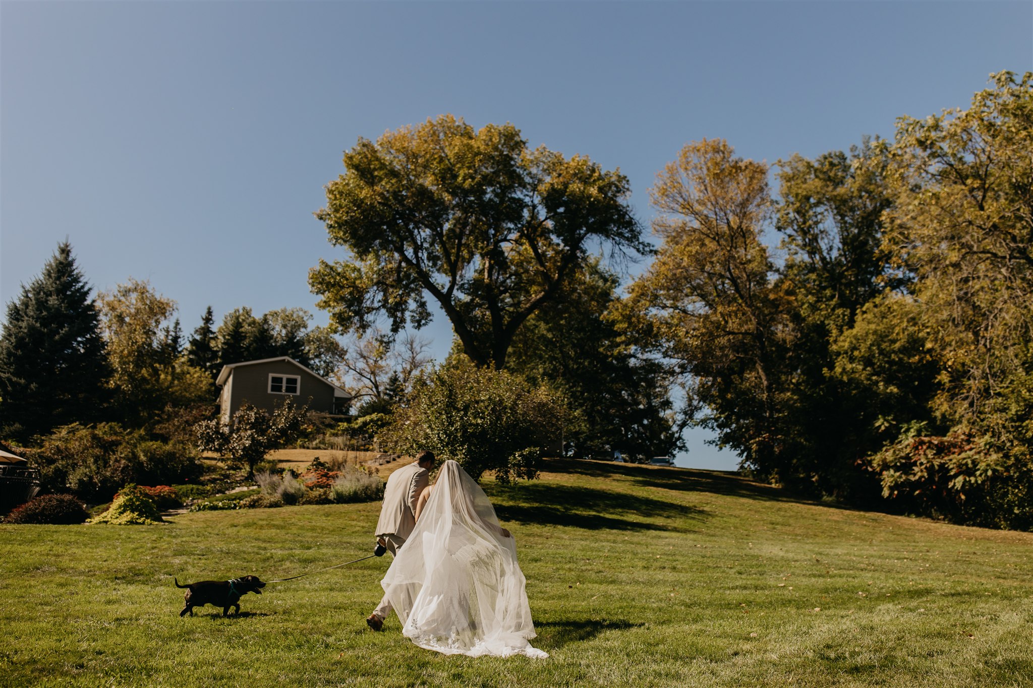 Bride and groom walking through a sunlit lawn with their dog during a fall outdoor wedding in Minnesota, captured by Mycah Bain Photography