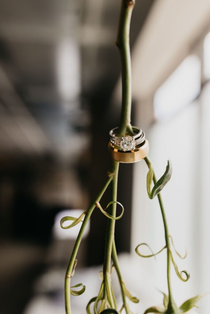 Close-up of the wedding rings tied to a flower stem near a window