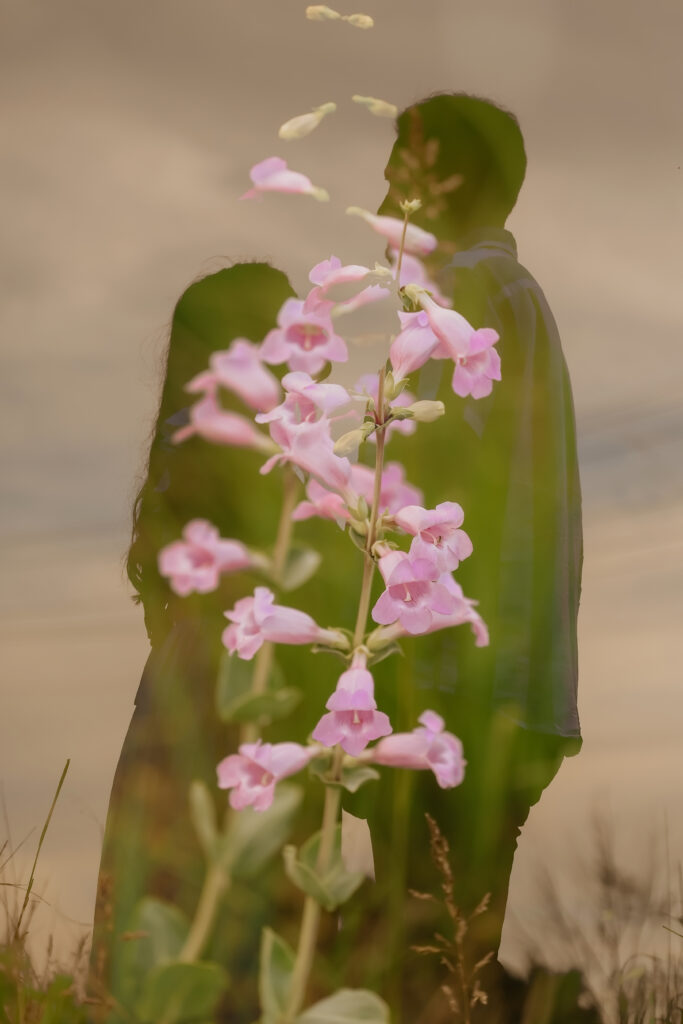 Double exposure silhouette of a couple embracing blended with pink foxglove flowers