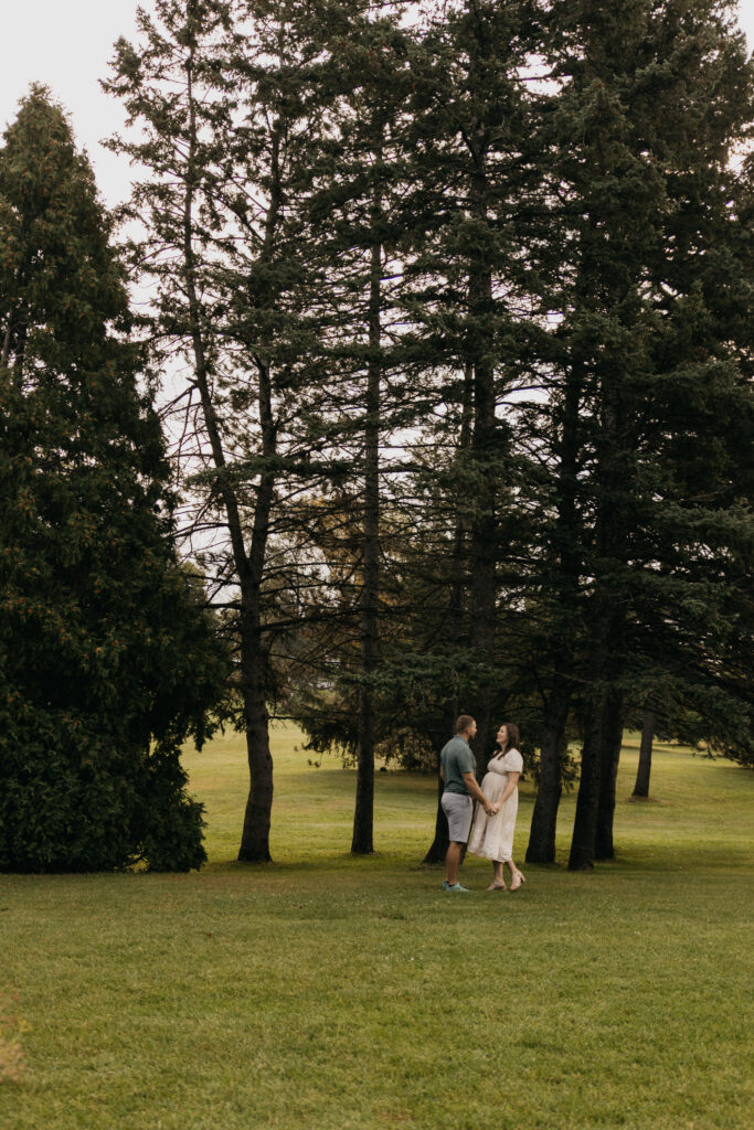 Couple walking together through a stand of tall pine trees