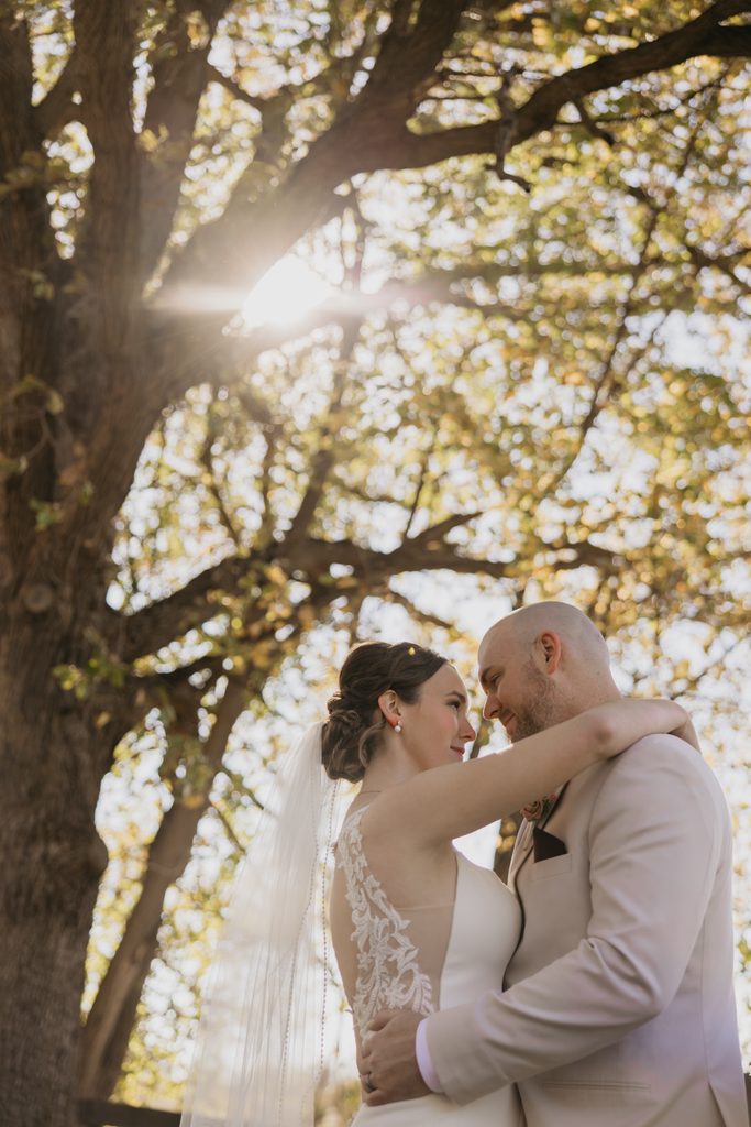 Bride and groom embrace as sunlight flares through the branches of a large tree